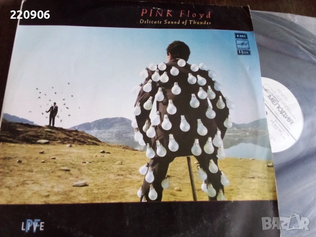 Плоча Pink Floyd – Delicate Sound Of Thunder плоча Мелодия
