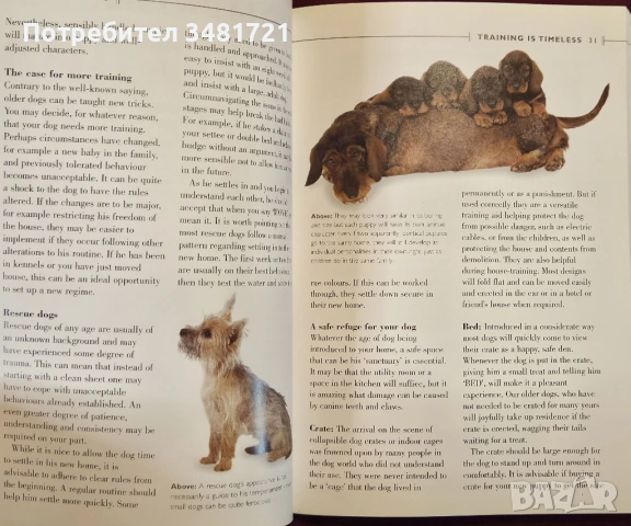 Обучение на кучета - 10-седмичен курс / Dog Training Handbook A 10-Week Training Course, снимка 7 - Енциклопедии, справочници - 53883029