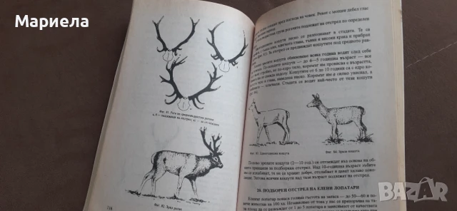 Млад ловец, снимка 4 - Специализирана литература - 51215622