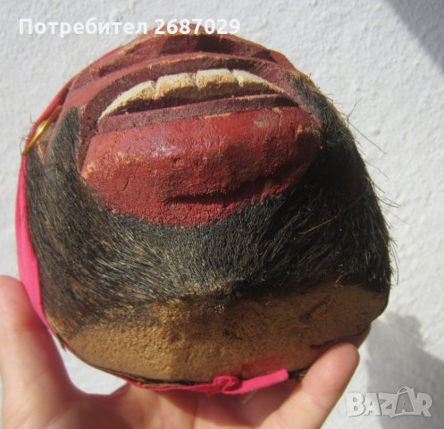 пират Глава кокосов орех, снимка 12 - Други - 29731775