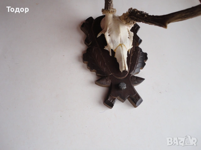 Ловен трофей рога дърворезба 14 , снимка 5 - Ножове - 54087359