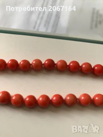 Гердан от естествен корал, снимка 4 - Антикварни и старинни предмети - 47484772