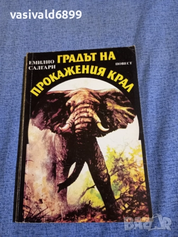 Емилио Салгари - Градът на прокажения крал 