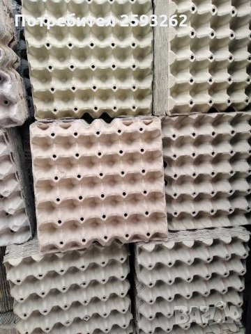 Продавам кори за яйца , снимка 3 - Кокошки и пуйки - 28068248