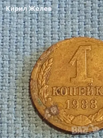 Стара монета 1 копейка 1988г. СССР рядка за КОЛЕКЦИЯ ДЕКОРАЦИЯ 40763, снимка 3 - Нумизматика и бонистика - 48074357