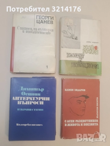 Страници от историята на българската литература в три тома. Том 1 - Георги Цанев