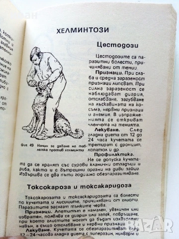Знаете ли всичко за кучето - В.Денков,Я.Караджов - 1992г., снимка 5 - Други - 50925747