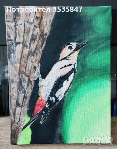 нови , снимка 1