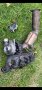 Turbo Garrett GTB2056VL Actuator Volvo s80 D5 на части DPF Катализатор , снимка 4
