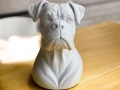 Boxer Dog Bust / Боксер куче Бюст, снимка 1