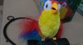 Папагал говорещ,повтарящ думите-18лв/малък/ и Голям папагал - 20 лв, снимка 5