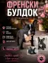 ФРЕНСКИ БУЛДОГ- 2 Ваксини / , снимка 1