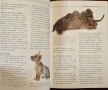 Обучение на кучета - 10-седмичен курс / Dog Training Handbook A 10-Week Training Course, снимка 7