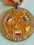 Медал МЕЖДУНАРОДНИ КЛУБНИ СЪСТЕЗАНИЯ по ПАРАШУТИЗЪМ ГЛИВИЦЕ 53519, снимка 2
