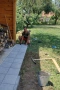 Редене на тротоарни плочки и паважи, снимка 2