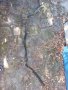 Стабилизираща щанга за Ситроен Саксо, Citroen saxo , снимка 1 - Части - 37914854