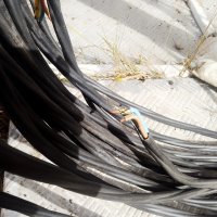 свт токов кабел 3 свт-с-(ж) 0.6/1 kv 3x6 mm 2013, снимка 2 - Кабели и адаптери - 42705632