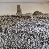 4 броя снимки от Паметника на свободата на връх Шипка, снимка 7 - Колекции - 36758959