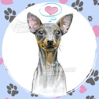 Картичка "Пинчер" / куче, животни, любов, сърце, снимка 5 - Романтични подаръци - 31411784