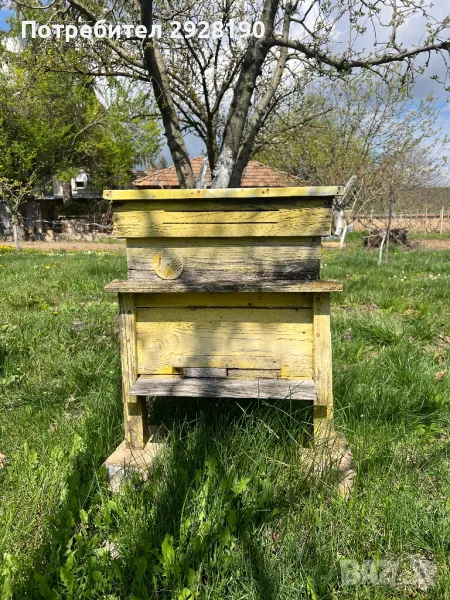 пчеларски кошери, снимка 1