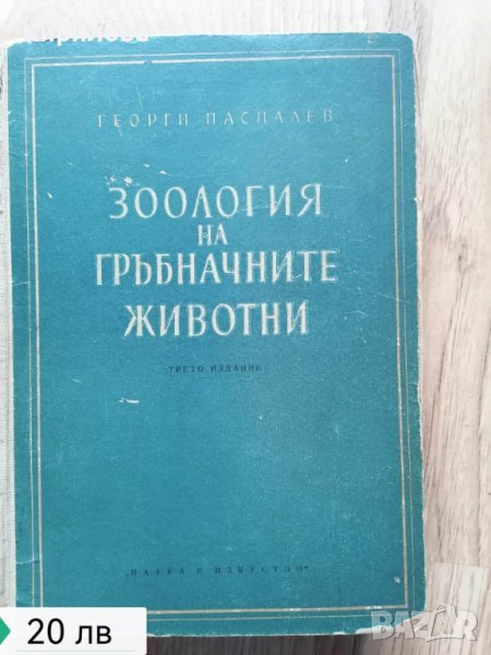 Зоология На Гръбначните Животни / Паспалев, Г. В., 1958, снимка 1