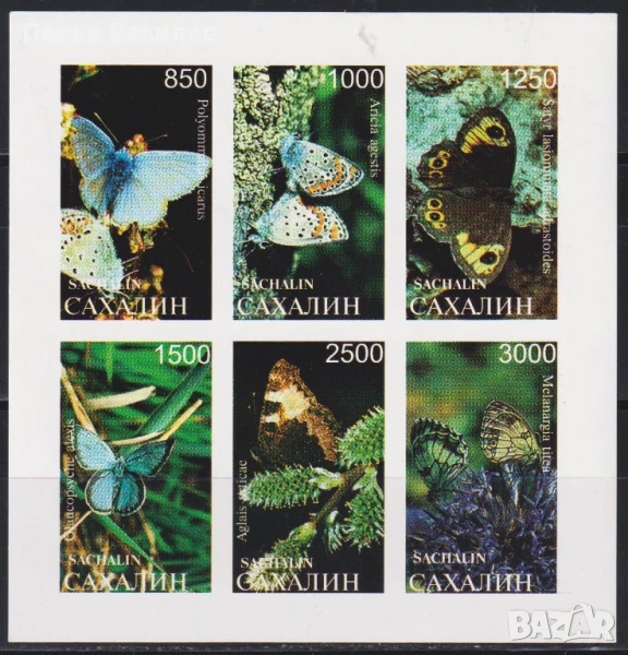 Чисти марки в малък лист Фауна Пеперуди 1997 от Амурска Сахалин Бурятия Курилски острови Русия, снимка 1