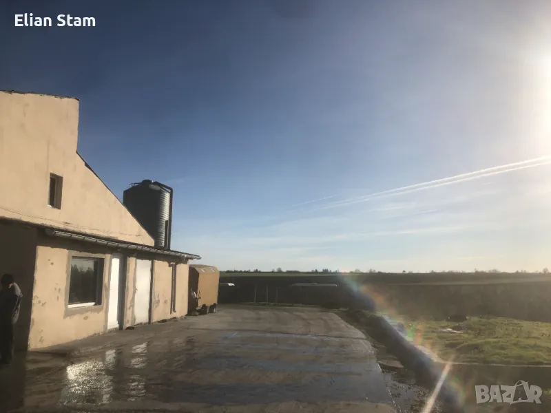 Оферта за продажба на действаща птицеферма, снимка 1