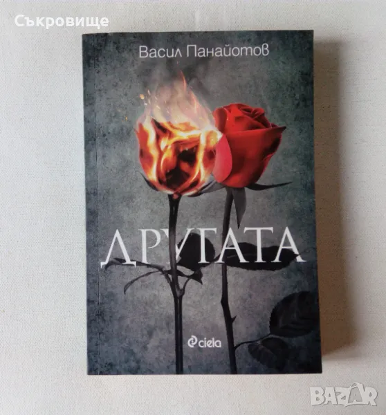 Васил Панайотов - Другата, снимка 1