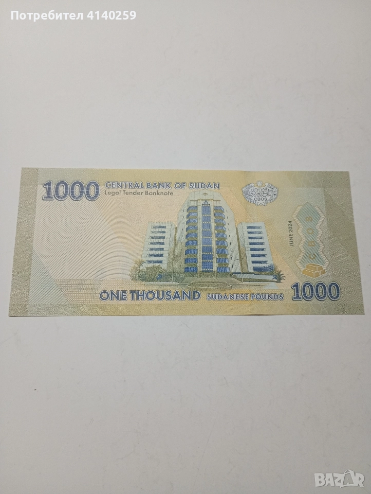 СУДАН БАНКНОТА 1000 ПАУНДА 2024 Г , снимка 1