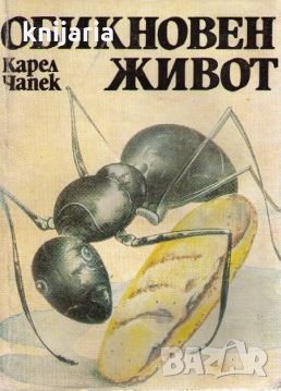 Обикновен живот