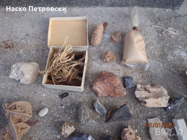 Колекция минерали, руди, сахарски ”рози”, сахарски пясък, шишарки,орехи,жълъди., снимка 2 - Колекции - 34196296
