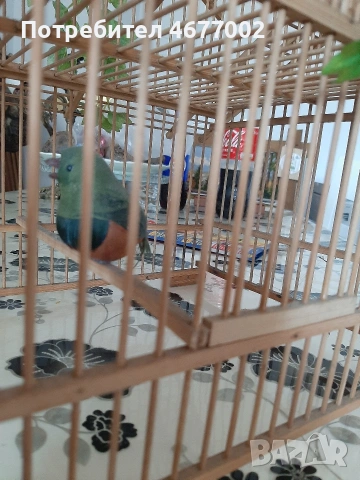 красива декорция, снимка 8 - Декорация за дома - 54317025