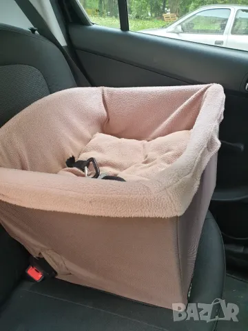 Столче за кола за куче