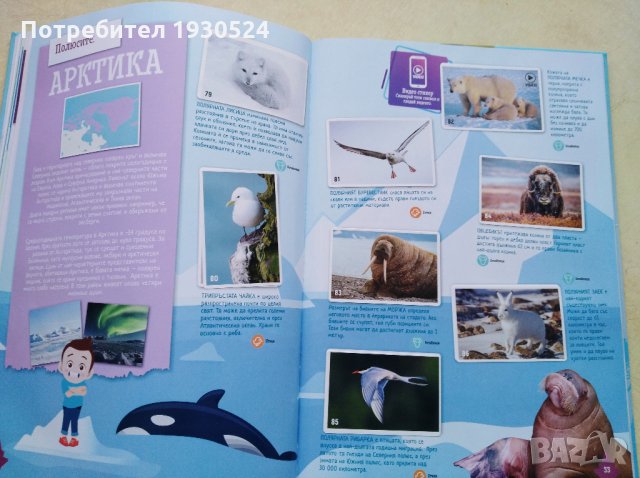 Колекционерски албум на Билла, снимка 10 - Колекции - 31797251