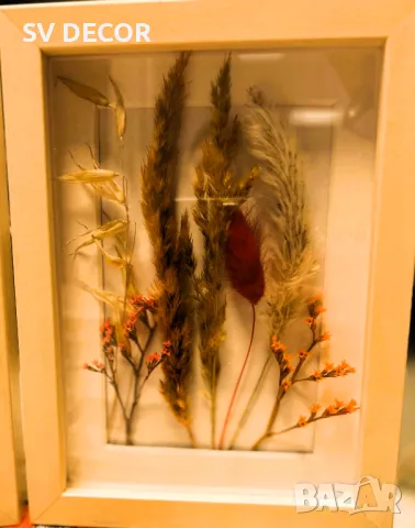 Красиви обемни рамки с декорация от суха растителност, снимка 6 - Декорация за дома - 49648819