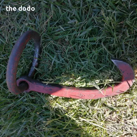 куки за Дървесни трупи Dominicus remsheid, снимка 4 - Такъми - 50331910