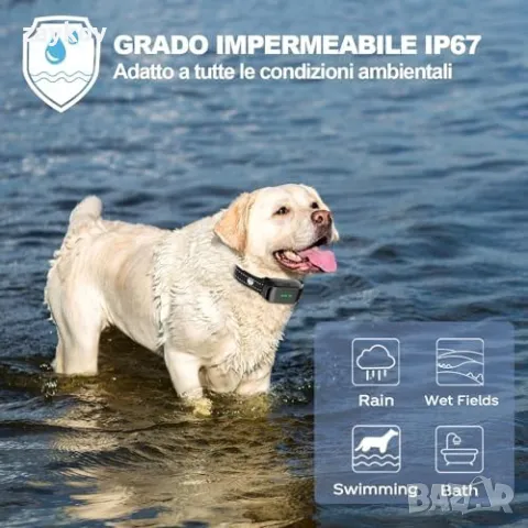 Електрически нашийник за обучение на кучета, 1000 метра дистанционно управление, снимка 5 - Друга електроника - 47972937