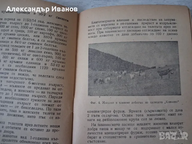 Стара книга,брошура "Говедовъдна ферма в с. душанци" 1955 г., снимка 5 - История, политика и общество - 55866651