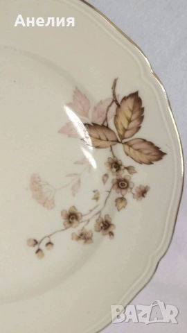 Zen Bavaria 11 чинии чудесни , снимка 2 - Чинии - 52971025