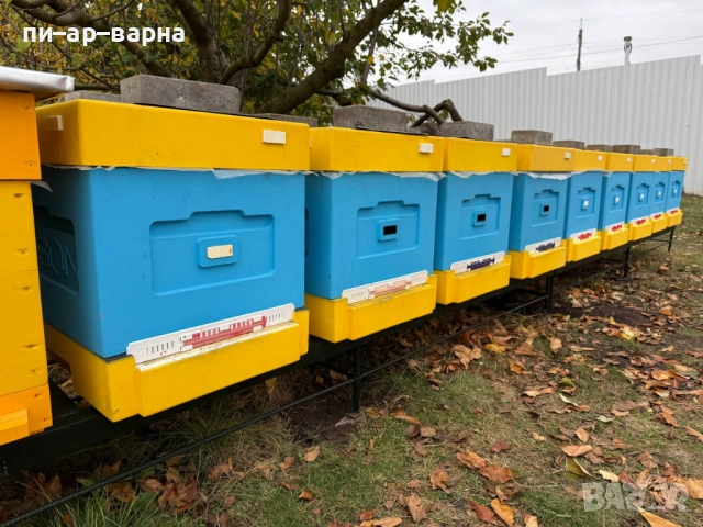 #продажбанаакции #русевхолдингеад #акционернодружество #съкооператори #ферма #фермазакокошки #яйца , снимка 6 - Продажба или споделяне на готов бизнес - 52383178