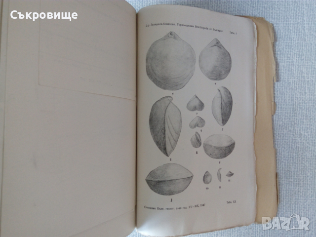 Списание на Българското геологическо дружество с карти от 1943, 1947, 1950, снимка 11 - Специализирана литература - 36574077