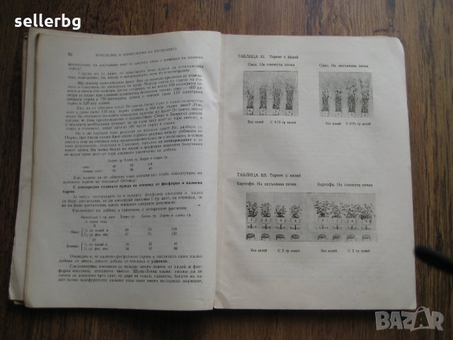 Земеделие и физиология на растенията - сборник от лекции от 1949 г., снимка 3 - Специализирана литература - 29569270