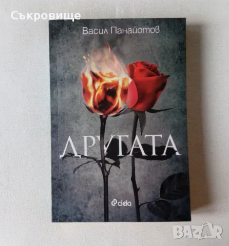 Васил Панайотов - Другата