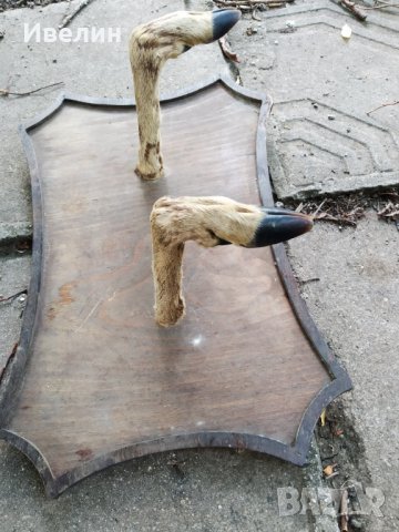 стара закачалка за стена, снимка 2 - Антикварни и старинни предмети - 29197665