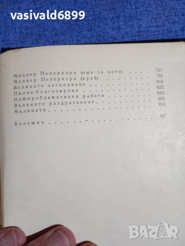 Томас Ман - Вълшебната планина , снимка 7 - Художествена литература - 52616367