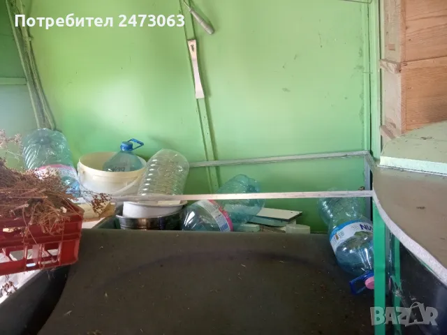 пчели, снимка 3 - За пчели - 48349307