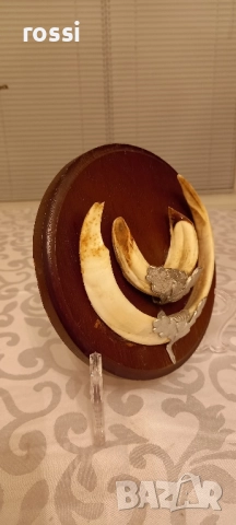 Красиви немски трофеи диво прасе, документ, трофей, снимка 10 - Колекции - 44200959