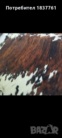 Телешка кожа Огромна 100% качество , снимка 4 - Декорация за дома - 53908129