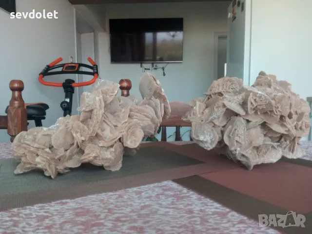 Огромни и прекрасни Пустинни рози-Сахара.Обявената цена е за двете и не подлежи на коментар., снимка 2 - Други ценни предмети - 47336485