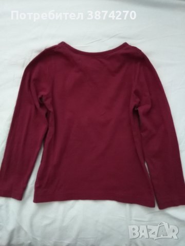 Лот блузи с дълъг ръкав за момиче 4- 6 години, снимка 5 - Детски Блузи и туники - 42675407